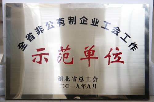 江南在线手机版（大中国区）被授予“全省非公有制企业工会工作示范单位”